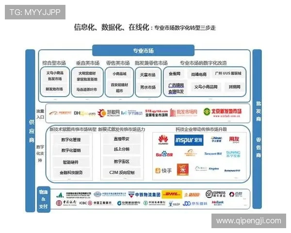 北京羽毛球队转型之路的挑战与机遇全景解析