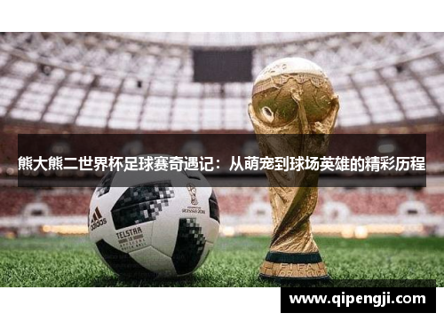 熊大熊二世界杯足球赛奇遇记：从萌宠到球场英雄的精彩历程
