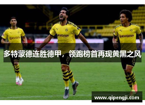 多特蒙德连胜德甲，领跑榜首再现黄黑之风