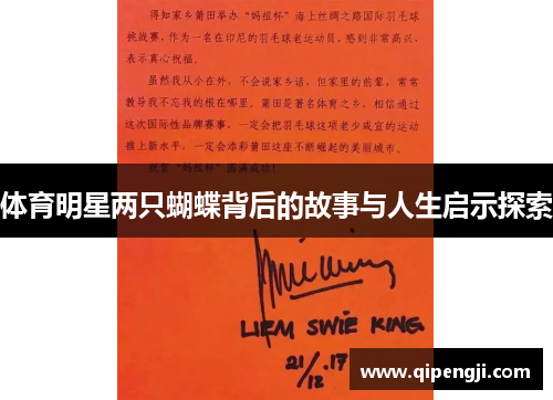 体育明星两只蝴蝶背后的故事与人生启示探索